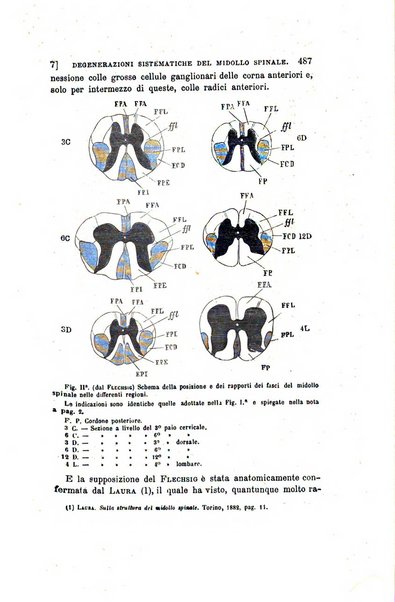 Collezione italiana di letture sulla medicina