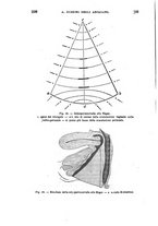 giornale/BVE0266428/1888/unico/00000340