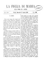 giornale/BVE0266986/1881/unico/00000247