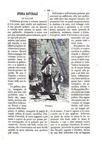 giornale/BVE0266986/1883/unico/00000111