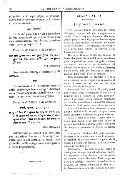 La libertà d'insegnamento periodico settimanale educativo didattico