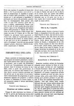 giornale/BVE0268462/1880-1881/unico/00000031