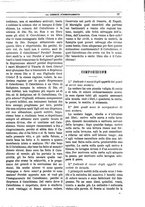 giornale/BVE0268462/1880-1881/unico/00000033