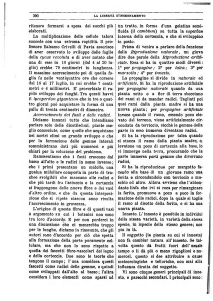 La libertà d'insegnamento periodico settimanale educativo didattico