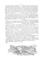 giornale/BVE0268464/1887/unico/00000125