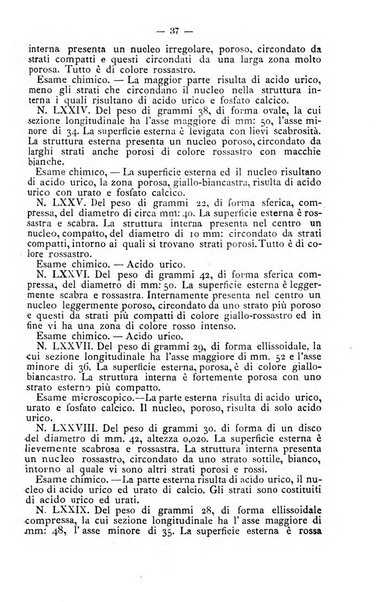 Archivio internazionale delle specialità medico-chirurgiche