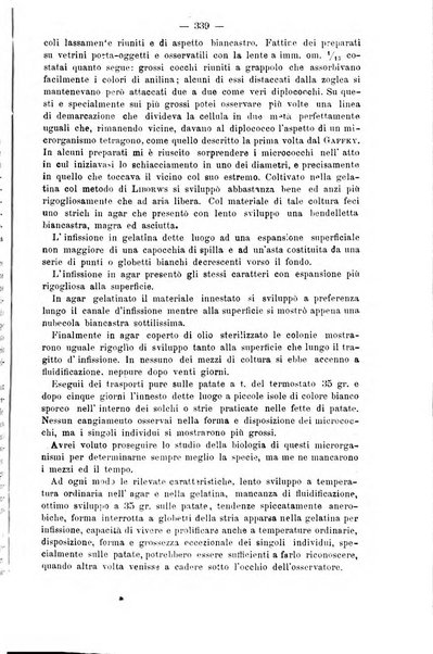 Archivio internazionale delle specialità medico-chirurgiche