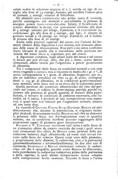 Archivio internazionale delle specialità medico-chirurgiche