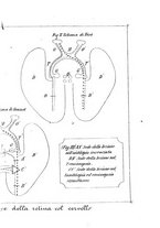 giornale/BVE0268478/1883/unico/00000189