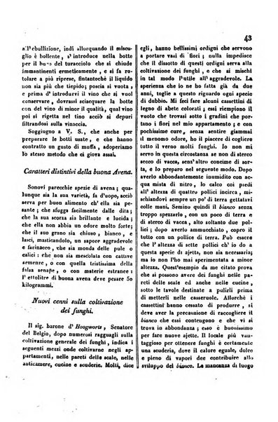 Bollettino di notizie statistiche ed economiche d'invenzioni e scoperte