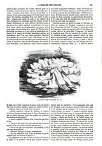 giornale/BVE0270213/1865-1866/unico/00000245
