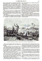 giornale/BVE0270213/1865-1866/unico/00000293