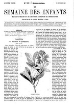 giornale/BVE0270213/1866-1867/unico/00000049