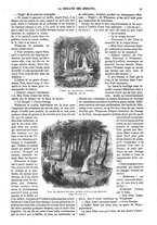 giornale/BVE0270213/1866-1867/unico/00000101