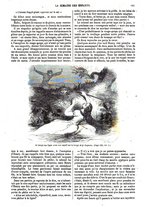 giornale/BVE0270213/1866-1867/unico/00000189
