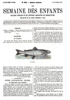 giornale/BVE0270213/1867-1868/unico/00000105