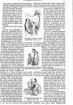 giornale/BVE0270213/1871-1872/unico/00000029