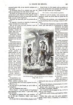 giornale/BVE0270213/1871-1872/unico/00000341
