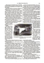 giornale/BVE0270213/1871-1872/unico/00000397