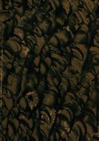 giornale/BVE0323196/1766/T.2