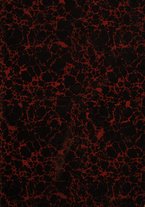 giornale/BVE0412206/1925/v.2/00000001