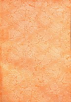 giornale/BVE0412206/1925/v.2/00000003