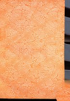 giornale/BVE0412206/1925/v.3/00000003