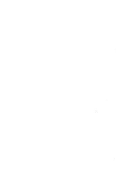 Relazione sulla viabilita ordinaria al ...