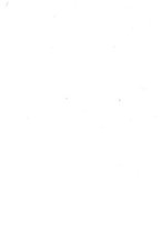 giornale/BVE0444319/1910/v.2/00000034