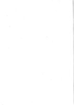 giornale/BVE0444319/1910/v.2/00000098