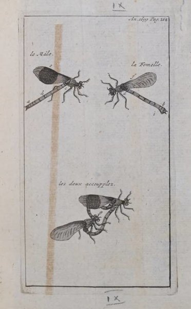 Histoire de l'Académie royale des sciences avec les Mémoires de mathematique & de physique, pour la même année, tires des registres de cette Académie.