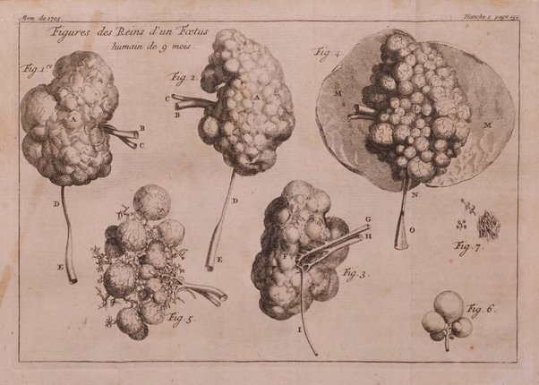 Histoire de l'Académie royale des sciences avec les Mémoires de mathematique & de physique, pour la même année, tires des registres de cette Académie.