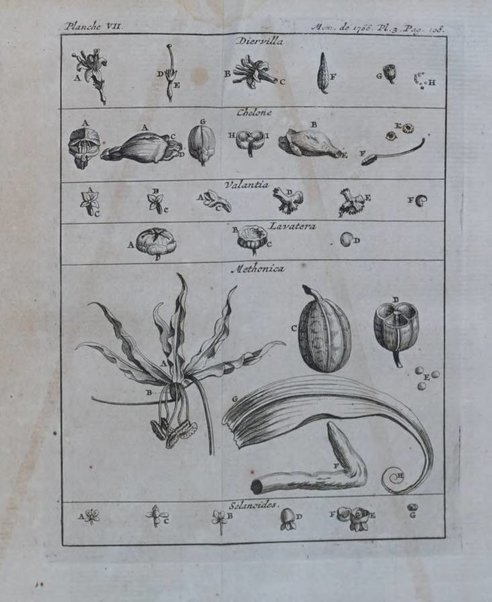 Histoire de l'Académie royale des sciences avec les Mémoires de mathematique & de physique, pour la même année, tires des registres de cette Académie.