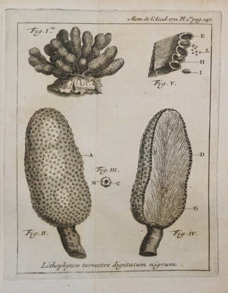 Histoire de l'Académie royale des sciences avec les Mémoires de mathematique & de physique, pour la même année, tires des registres de cette Académie.