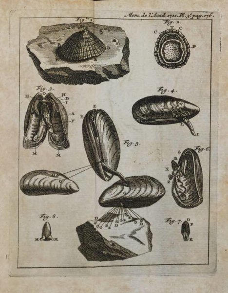 Histoire de l'Académie royale des sciences avec les Mémoires de mathematique & de physique, pour la même année, tires des registres de cette Académie.