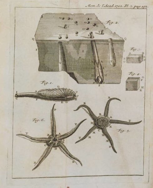 Histoire de l'Académie royale des sciences avec les Mémoires de mathematique & de physique, pour la même année, tires des registres de cette Académie.