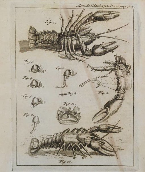 Histoire de l'Académie royale des sciences avec les Mémoires de mathematique & de physique, pour la même année, tires des registres de cette Académie.