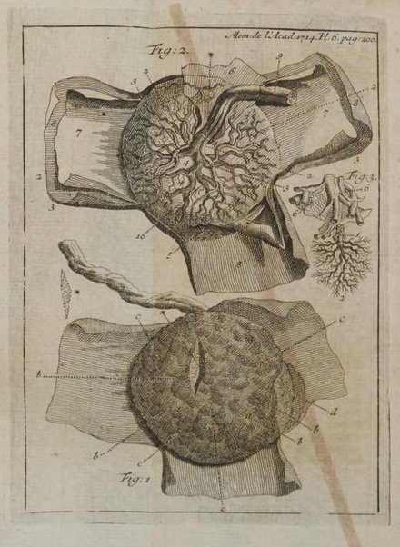 Histoire de l'Académie royale des sciences avec les Mémoires de mathematique & de physique, pour la même année, tires des registres de cette Académie.