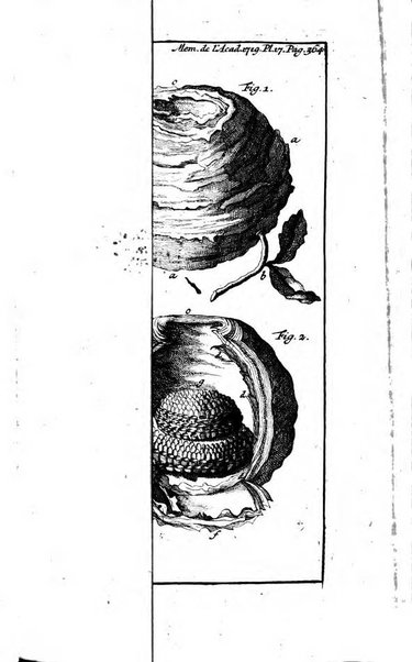 Histoire de l'Académie royale des sciences avec les Mémoires de mathematique & de physique, pour la même année, tires des registres de cette Académie.