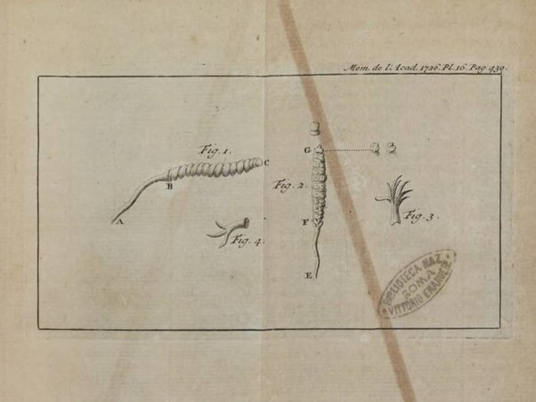 Histoire de l'Académie royale des sciences avec les Mémoires de mathematique & de physique, pour la même année, tires des registres de cette Académie.