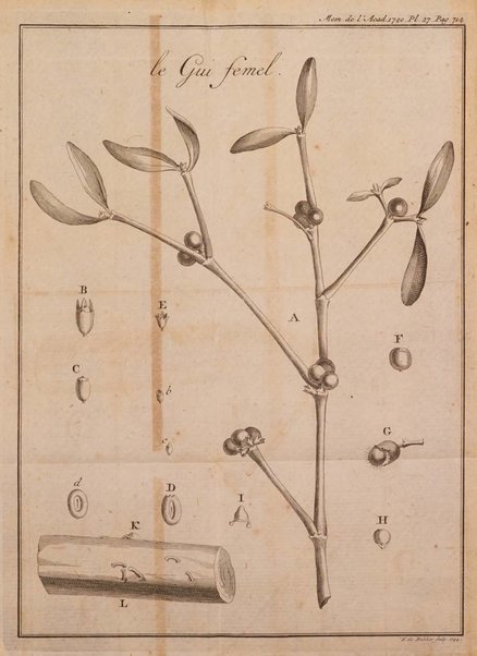 Histoire de l'Académie royale des sciences avec les Mémoires de mathematique & de physique, pour la même année, tires des registres de cette Académie.