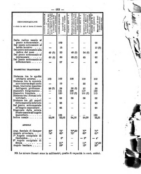 Bollettino della Società geografica italiana