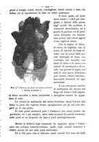 giornale/BVE0536396/1894/unico/00000525
