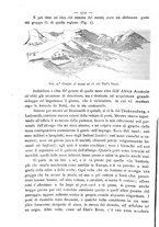 giornale/BVE0536396/1894/unico/00000602