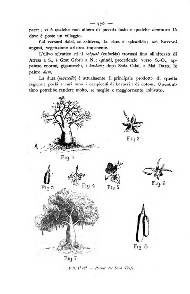 Bollettino della Società geografica italiana