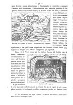 giornale/BVE0536396/1897/unico/00000114
