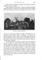 giornale/BVE0536396/1903/unico/00000915