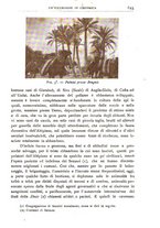 giornale/BVE0536396/1903/unico/00000961