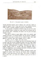 giornale/BVE0536396/1903/unico/00000977