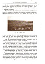 giornale/BVE0536396/1903/unico/00000989